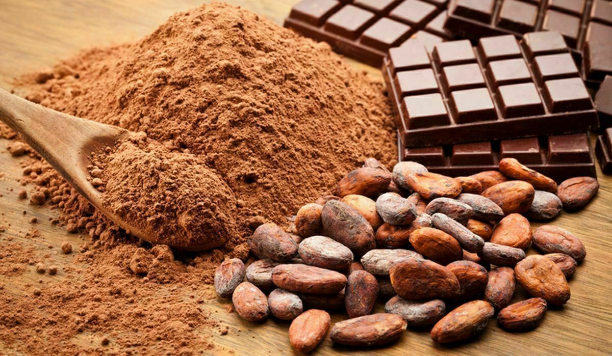 Thực phẩm cho người tập yoga - Bột Cacao
