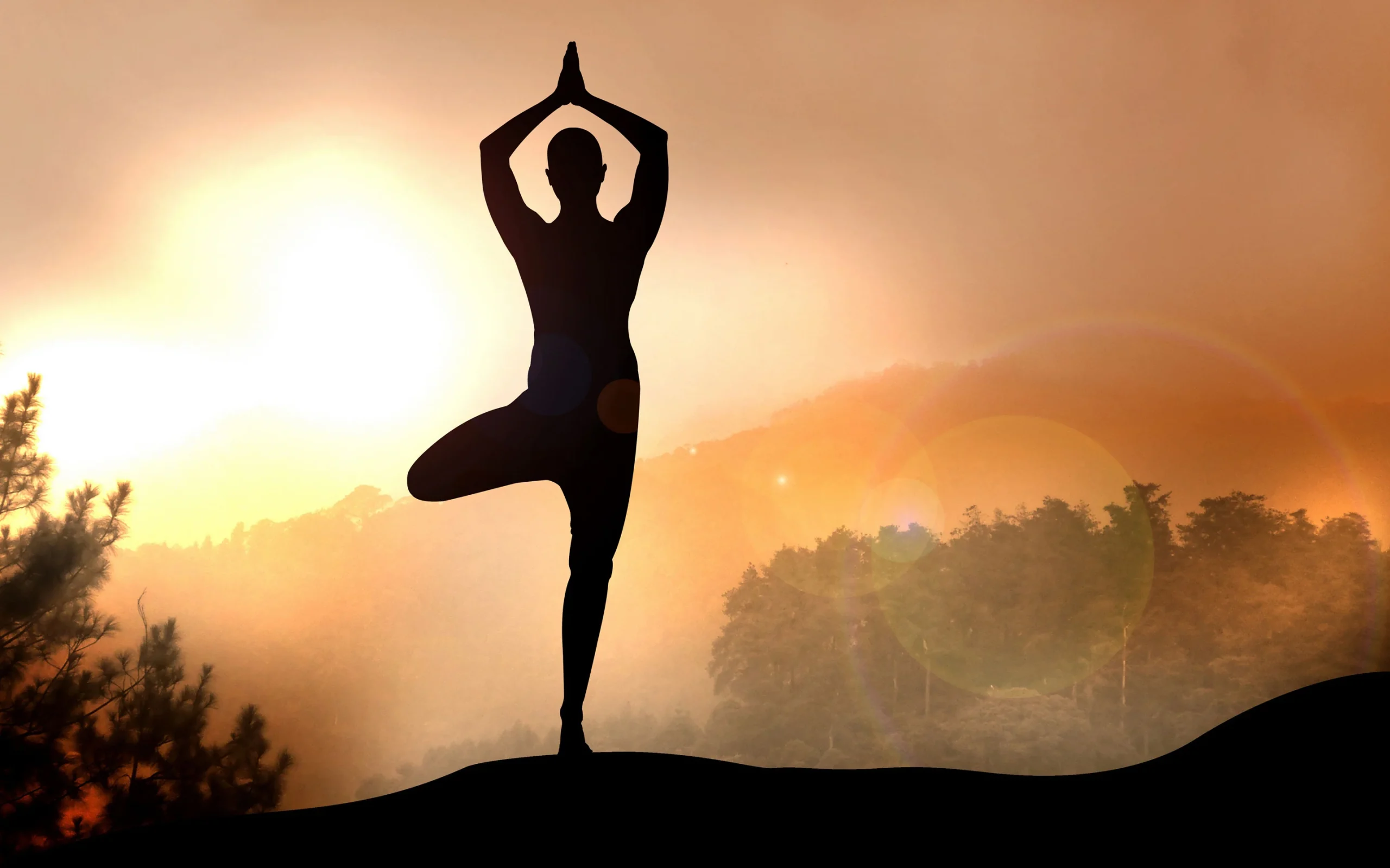 Yoga cơ bản